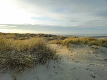 Oostnieuwkerke duinen wandeling in de koude (België)